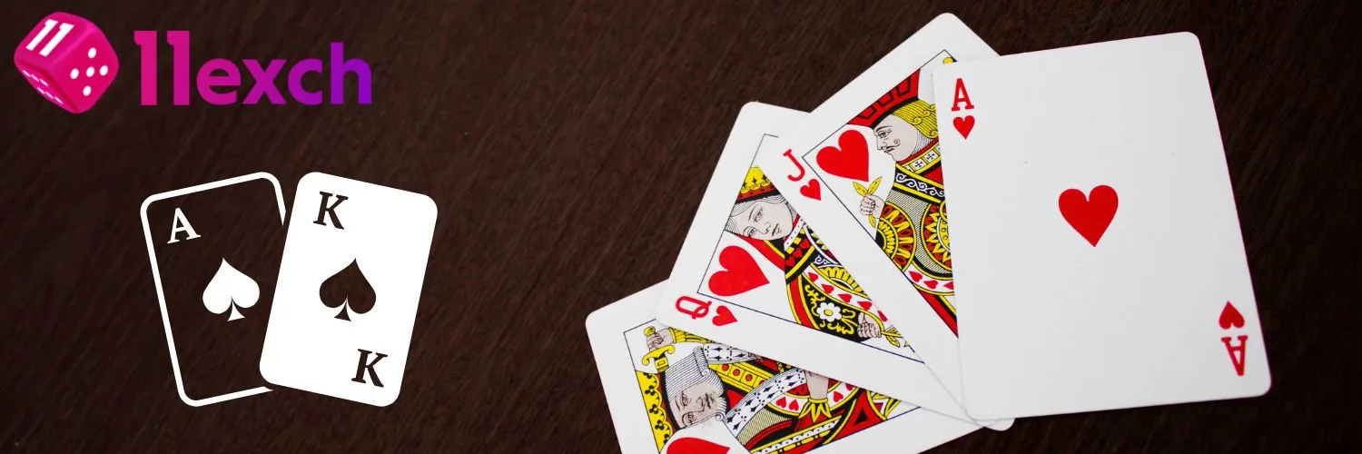 Wolf777 logo with wide display of playing cards representing premium online casino experience